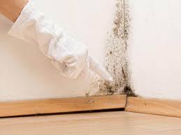 Best Asbestos and Lead Testing During Mold Inspection in Crosspointe, VA